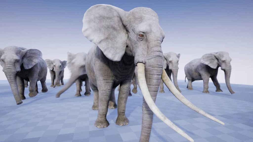 图片[1]-【UE资源】非洲象模型-ELEPHANT-IMAXCG