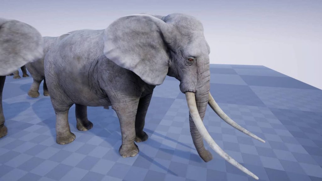 图片[2]-【UE资源】非洲象模型-ELEPHANT-IMAXCG