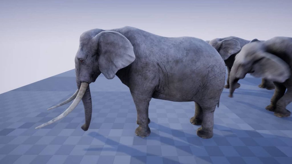图片[3]-【UE资源】非洲象模型-ELEPHANT-IMAXCG