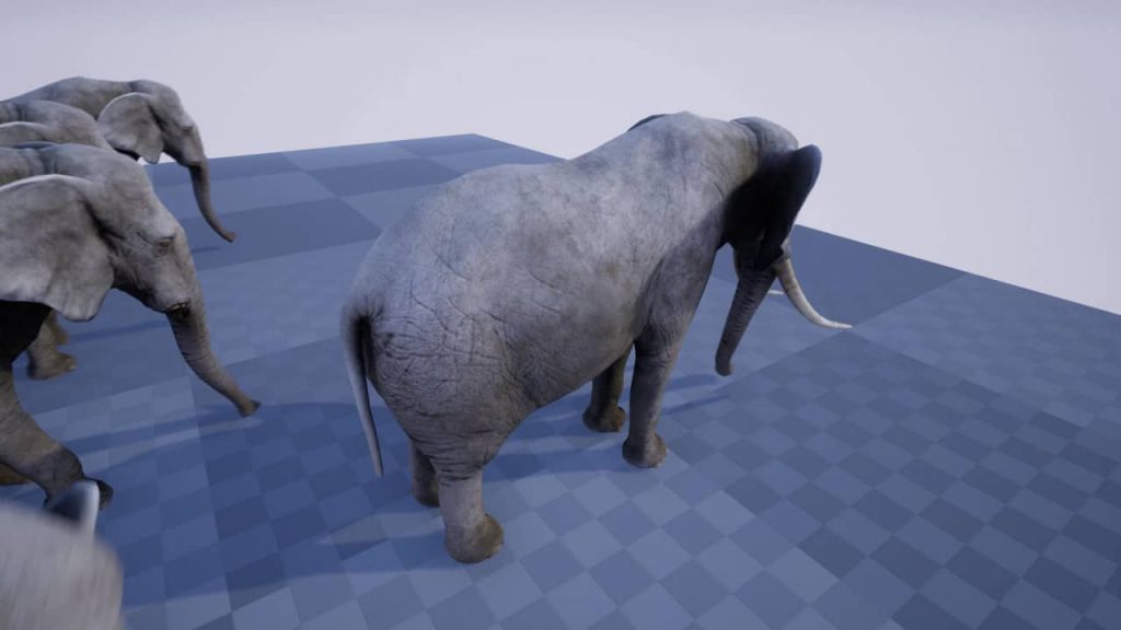 图片[5]-【UE资源】非洲象模型-ELEPHANT-IMAXCG