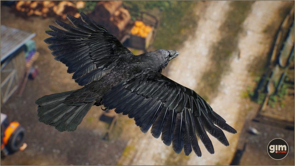 图片[3]-【UE资源】乌鸦资源（骨骼+动画）-Animalia – Raven-IMAXCG