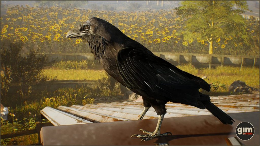 图片[4]-【UE资源】乌鸦资源（骨骼+动画）-Animalia – Raven-IMAXCG