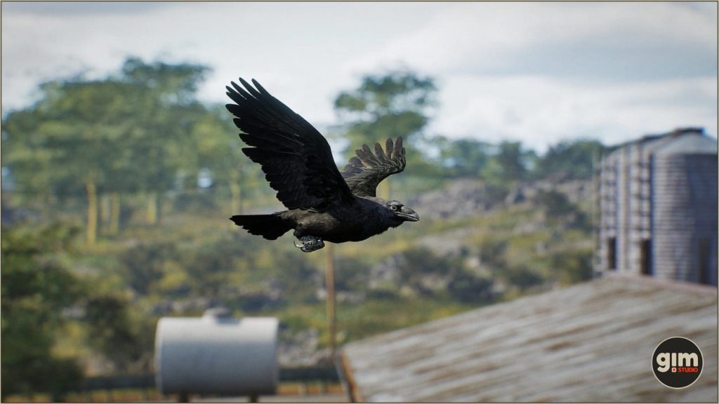 图片[5]-【UE资源】乌鸦资源（骨骼+动画）-Animalia – Raven-IMAXCG