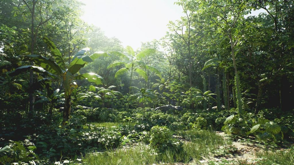 图片[5]-【UE资源】热带雨林环境包-Rain Forest Pack-IMAXCG