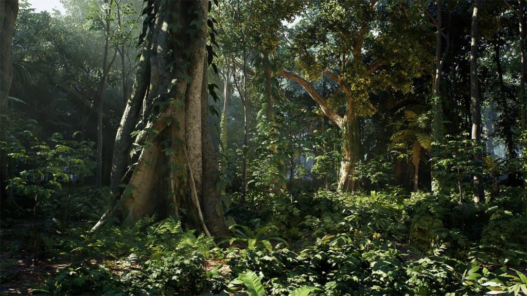 图片[7]-【UE资源】热带雨林环境包-Rain Forest Pack-IMAXCG