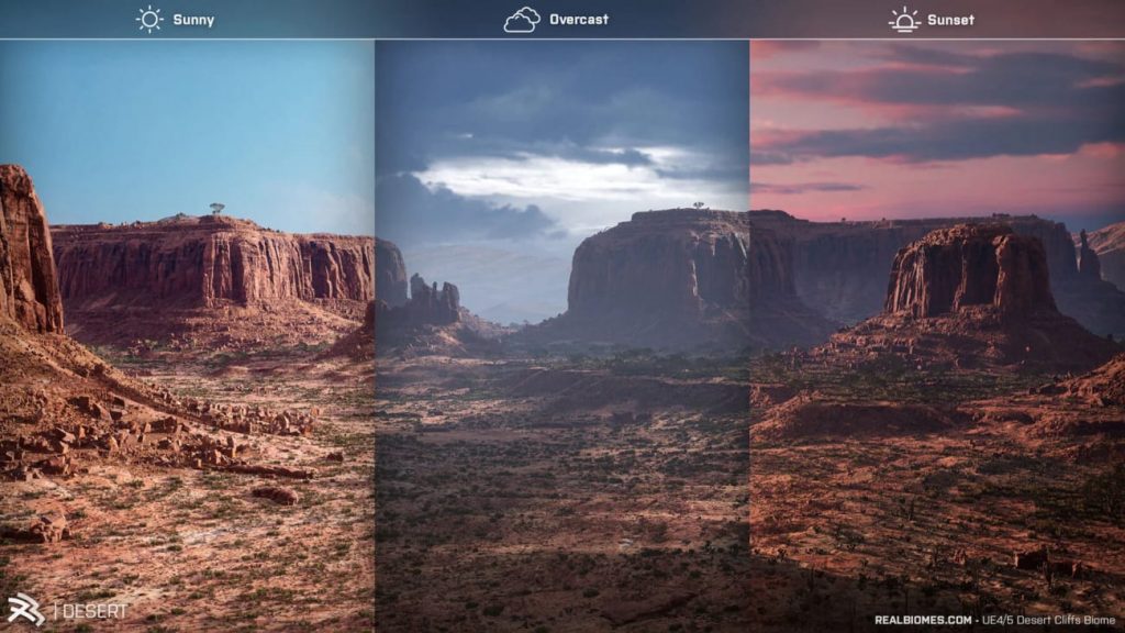 图片[3]-【UE资源】超写实的沙漠环境包-RealBiomes Desert Cliffs Biome – Monument Valley (Trees, Grass, Forest)-IMAXCG