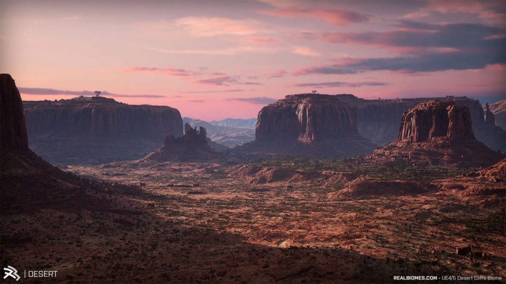 图片[4]-【UE资源】超写实的沙漠环境包-RealBiomes Desert Cliffs Biome – Monument Valley (Trees, Grass, Forest)-IMAXCG