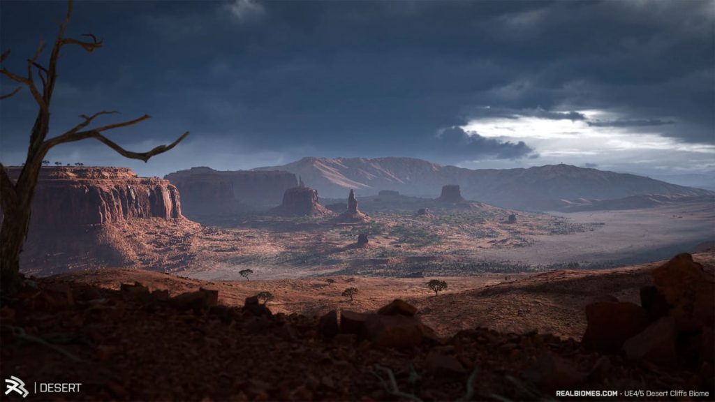 图片[5]-【UE资源】超写实的沙漠环境包-RealBiomes Desert Cliffs Biome – Monument Valley (Trees, Grass, Forest)-IMAXCG
