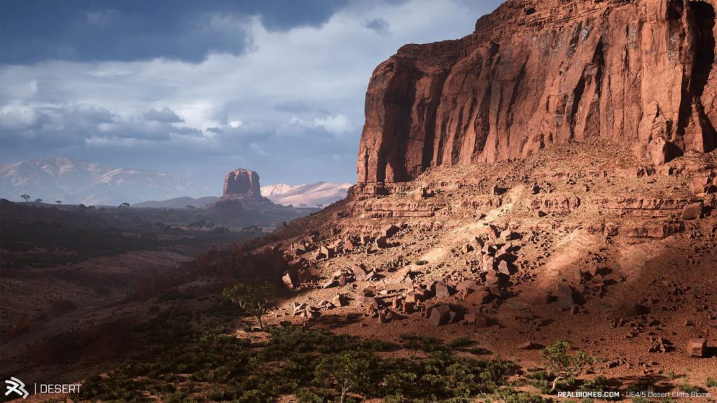 图片[6]-【UE资源】超写实的沙漠环境包-RealBiomes Desert Cliffs Biome – Monument Valley (Trees, Grass, Forest)-IMAXCG