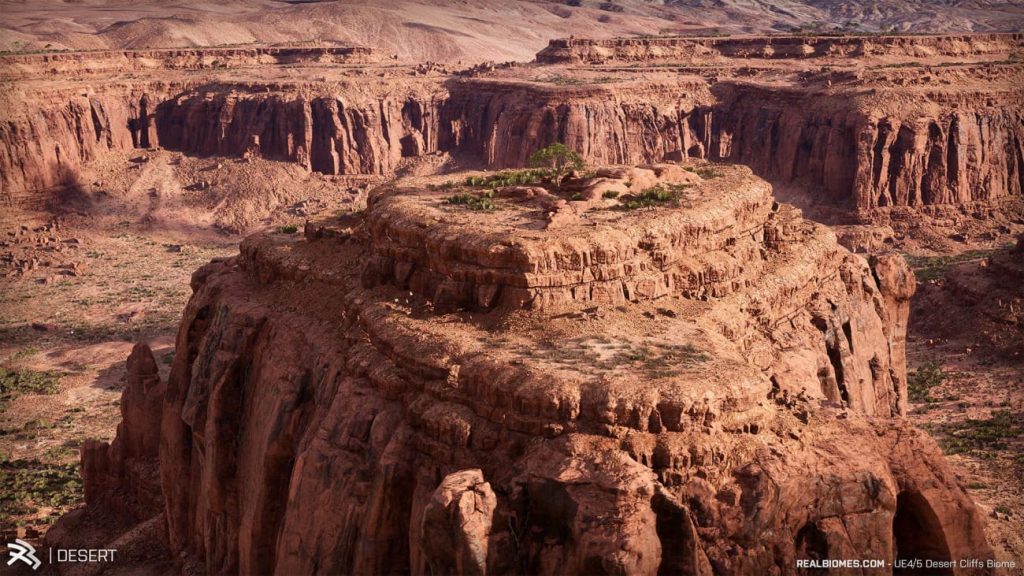 图片[7]-【UE资源】超写实的沙漠环境包-RealBiomes Desert Cliffs Biome – Monument Valley (Trees, Grass, Forest)-IMAXCG