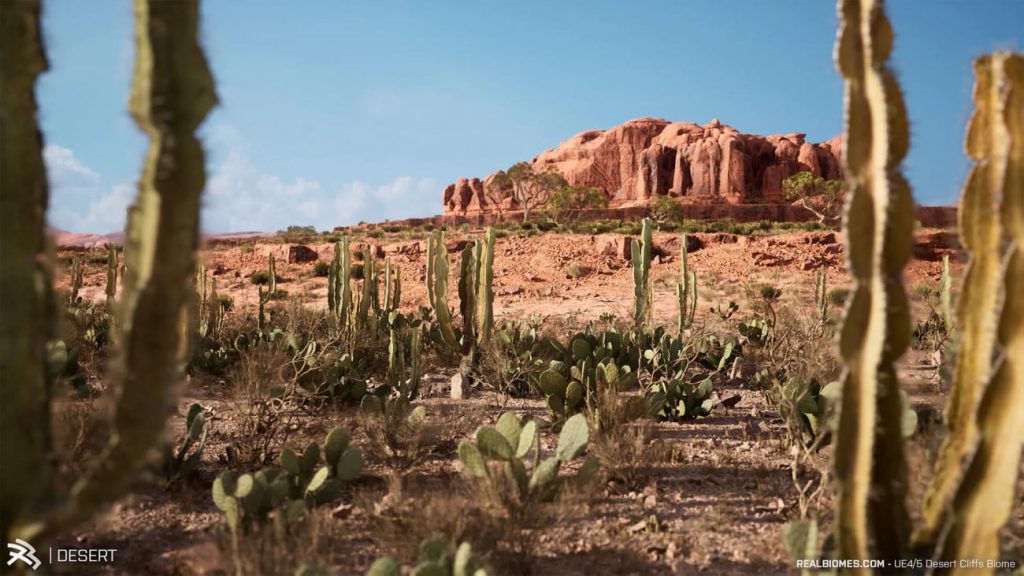 图片[8]-【UE资源】超写实的沙漠环境包-RealBiomes Desert Cliffs Biome – Monument Valley (Trees, Grass, Forest)-IMAXCG