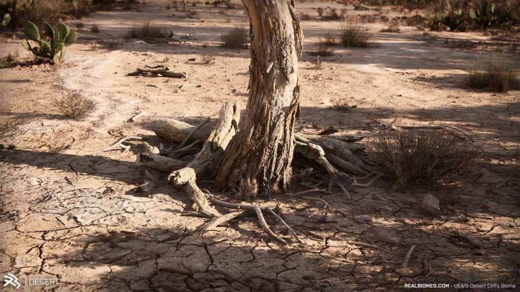 图片[9]-【UE资源】超写实的沙漠环境包-RealBiomes Desert Cliffs Biome – Monument Valley (Trees, Grass, Forest)-IMAXCG