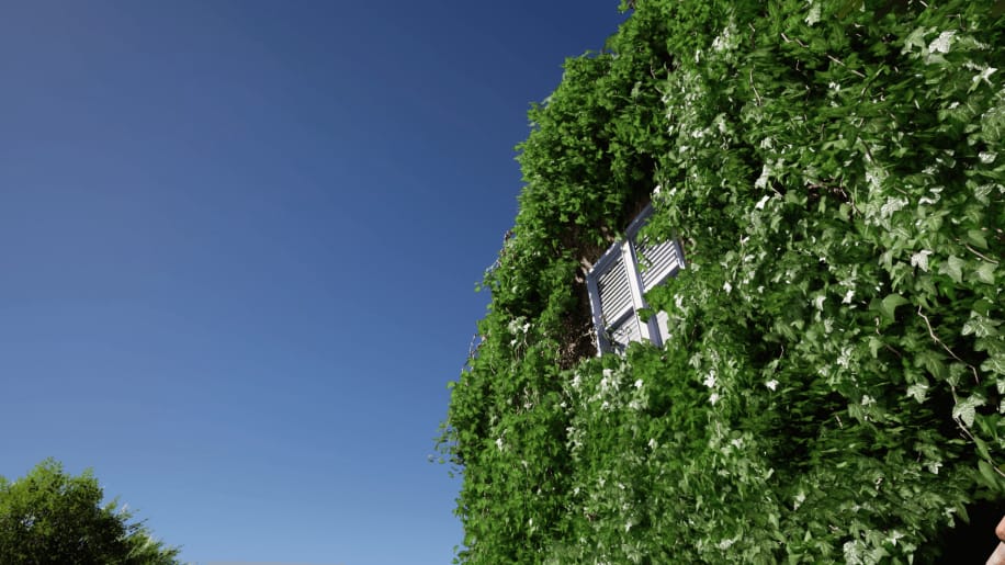 【UE资源】程序化常春藤和藤蔓生成插件-Crazy Ivy – Procedural Ivy & Vine Generator Plug-in – Auto Grow Plants In Editor-IMAXCG