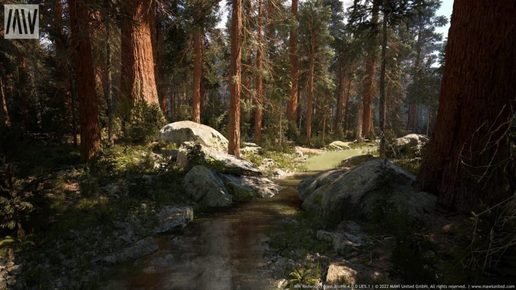 图片[1]-【UE资源】红木树森林超写实场景（冬天和夏天）-MW Redwood Tree Forest Biome-IMAXCG