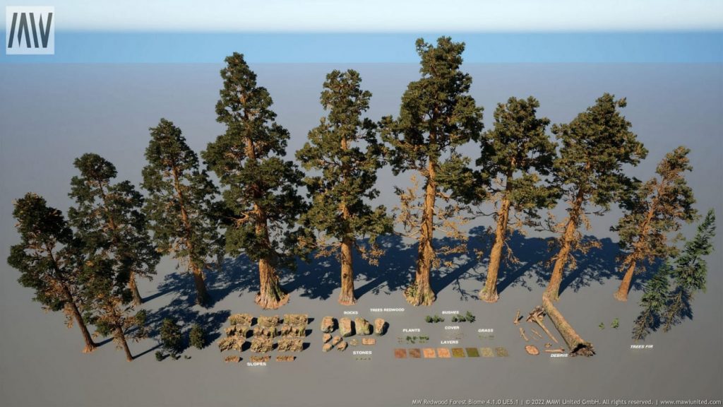 图片[2]-【UE资源】红木树森林超写实场景（冬天和夏天）-MW Redwood Tree Forest Biome-IMAXCG
