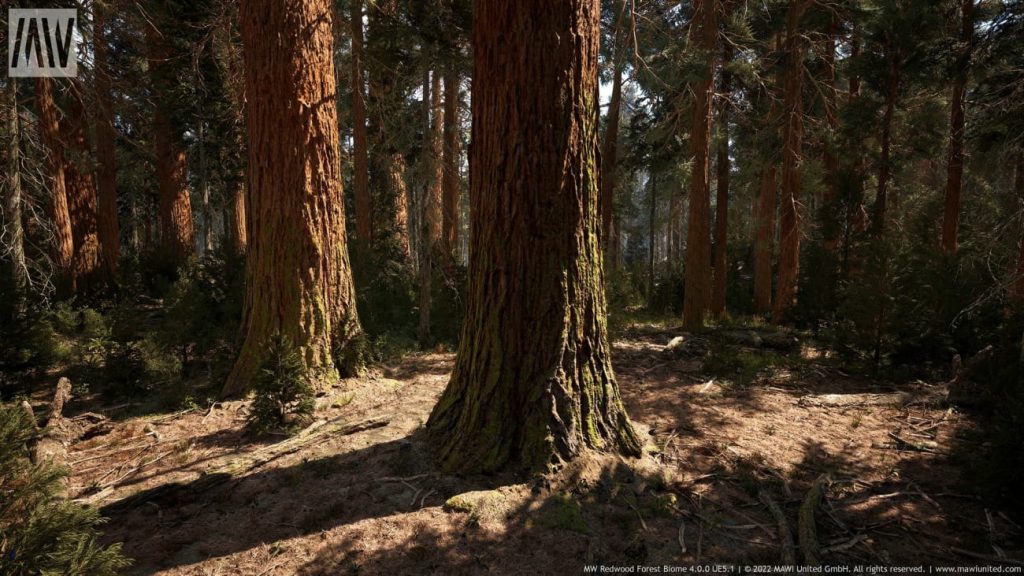 图片[3]-【UE资源】红木树森林超写实场景（冬天和夏天）-MW Redwood Tree Forest Biome-IMAXCG