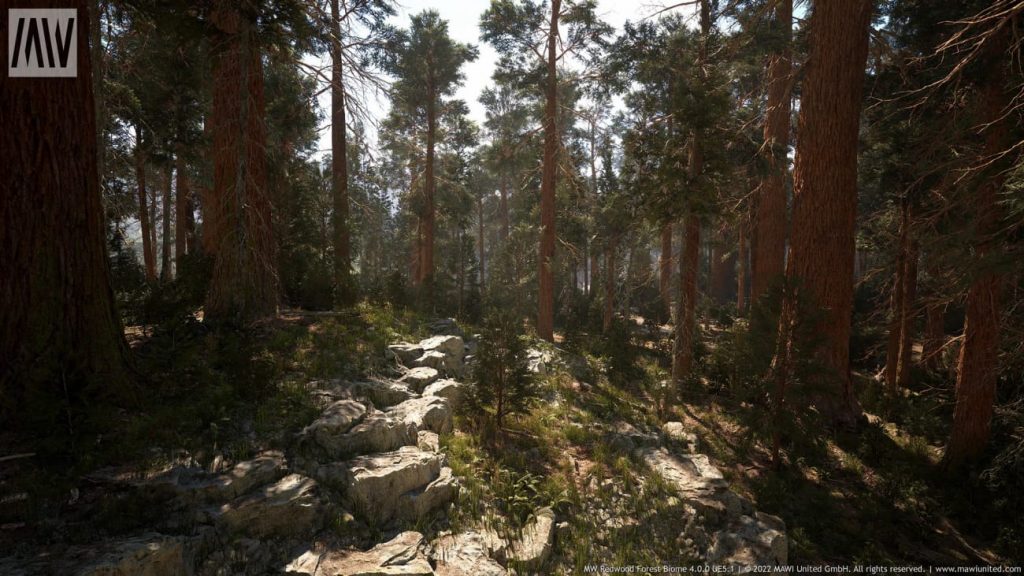 图片[4]-【UE资源】红木树森林超写实场景（冬天和夏天）-MW Redwood Tree Forest Biome-IMAXCG