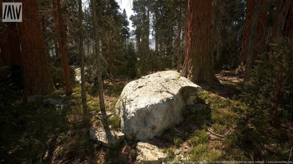 图片[5]-【UE资源】红木树森林超写实场景（冬天和夏天）-MW Redwood Tree Forest Biome-IMAXCG