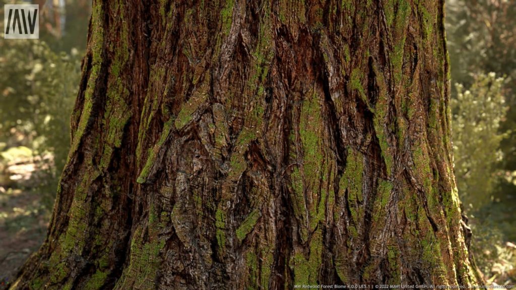 图片[7]-【UE资源】红木树森林超写实场景（冬天和夏天）-MW Redwood Tree Forest Biome-IMAXCG