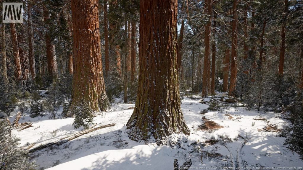 图片[8]-【UE资源】红木树森林超写实场景（冬天和夏天）-MW Redwood Tree Forest Biome-IMAXCG