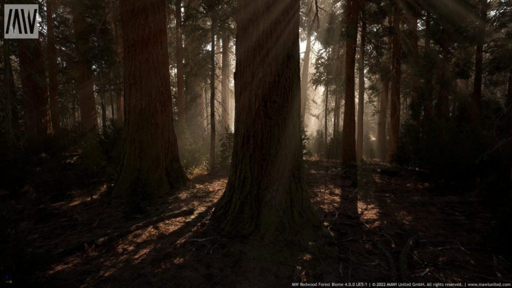图片[9]-【UE资源】红木树森林超写实场景（冬天和夏天）-MW Redwood Tree Forest Biome-IMAXCG