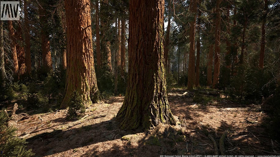 【UE资源】红木树森林超写实场景（冬天和夏天）-MW Redwood Tree Forest Biome-IMAXCG
