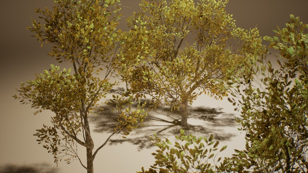 图片[9]-【UE虚幻资源】橡树 (Nanite低模版)-Foliage VOL.3 – Oak Trees (Nanite and Low Poly)-IMAXCG