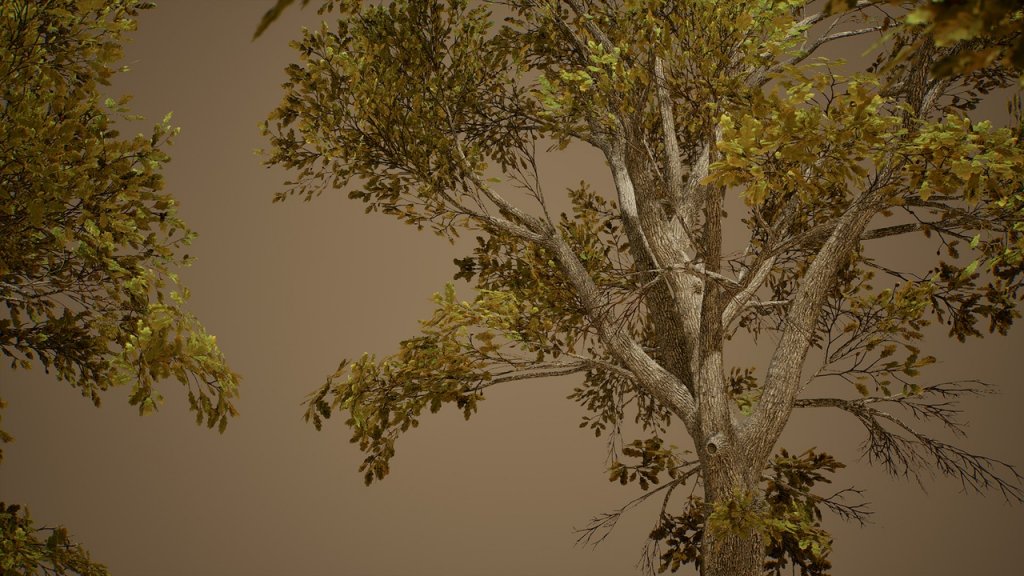 图片[10]-【UE虚幻资源】橡树 (Nanite低模版)-Foliage VOL.3 – Oak Trees (Nanite and Low Poly)-IMAXCG