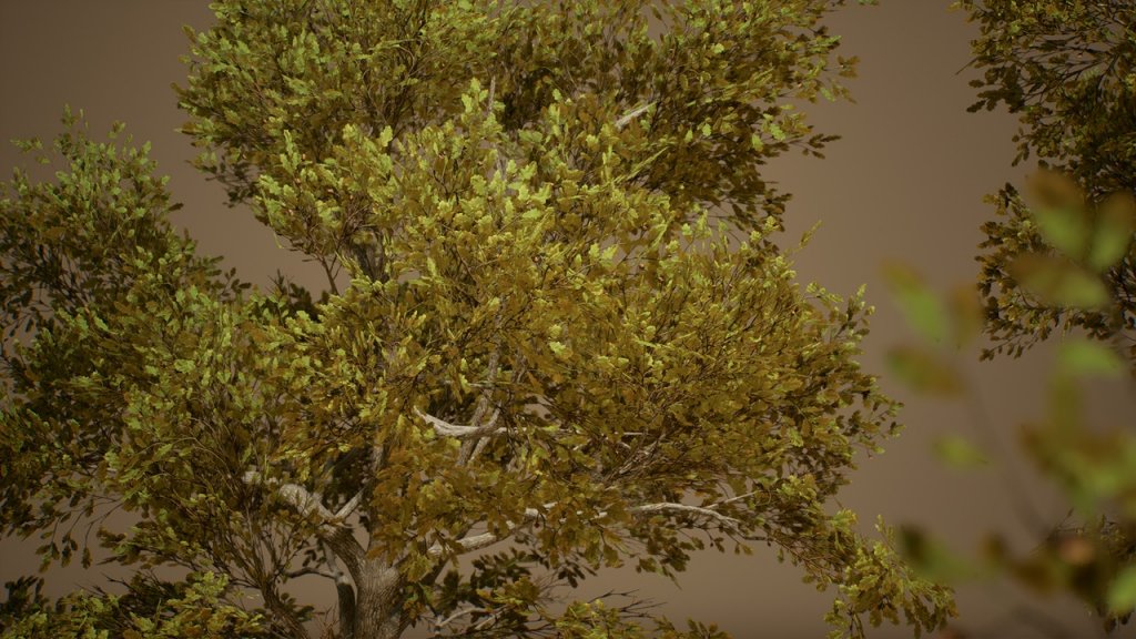 图片[11]-【UE虚幻资源】橡树 (Nanite低模版)-Foliage VOL.3 – Oak Trees (Nanite and Low Poly)-IMAXCG