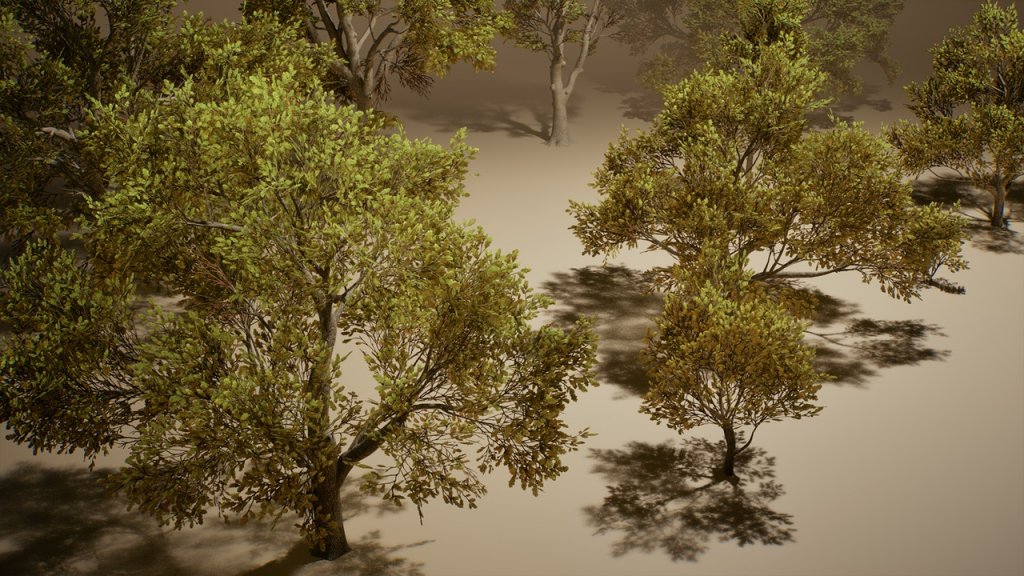 图片[12]-【UE虚幻资源】橡树 (Nanite低模版)-Foliage VOL.3 – Oak Trees (Nanite and Low Poly)-IMAXCG