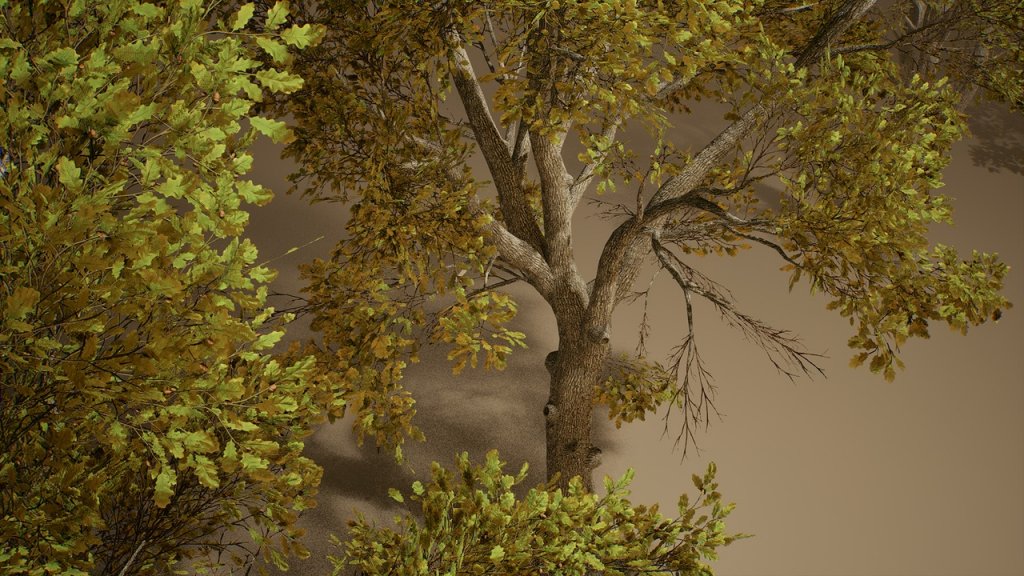 图片[13]-【UE虚幻资源】橡树 (Nanite低模版)-Foliage VOL.3 – Oak Trees (Nanite and Low Poly)-IMAXCG