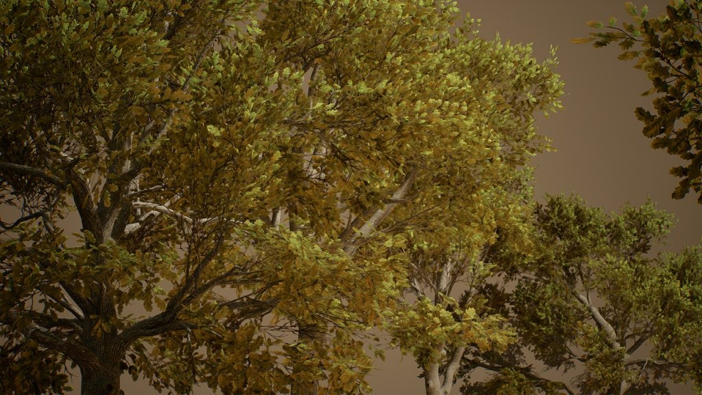 图片[14]-【UE虚幻资源】橡树 (Nanite低模版)-Foliage VOL.3 – Oak Trees (Nanite and Low Poly)-IMAXCG