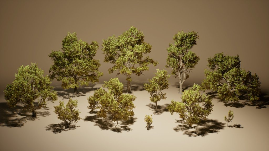 图片[1]-【UE虚幻资源】橡树 (Nanite低模版)-Foliage VOL.3 – Oak Trees (Nanite and Low Poly)-IMAXCG