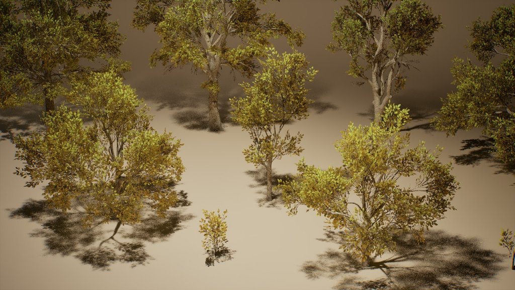 图片[2]-【UE虚幻资源】橡树 (Nanite低模版)-Foliage VOL.3 – Oak Trees (Nanite and Low Poly)-IMAXCG