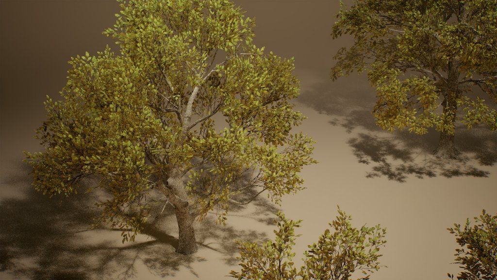 图片[3]-【UE虚幻资源】橡树 (Nanite低模版)-Foliage VOL.3 – Oak Trees (Nanite and Low Poly)-IMAXCG