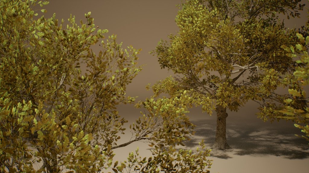 图片[4]-【UE虚幻资源】橡树 (Nanite低模版)-Foliage VOL.3 – Oak Trees (Nanite and Low Poly)-IMAXCG