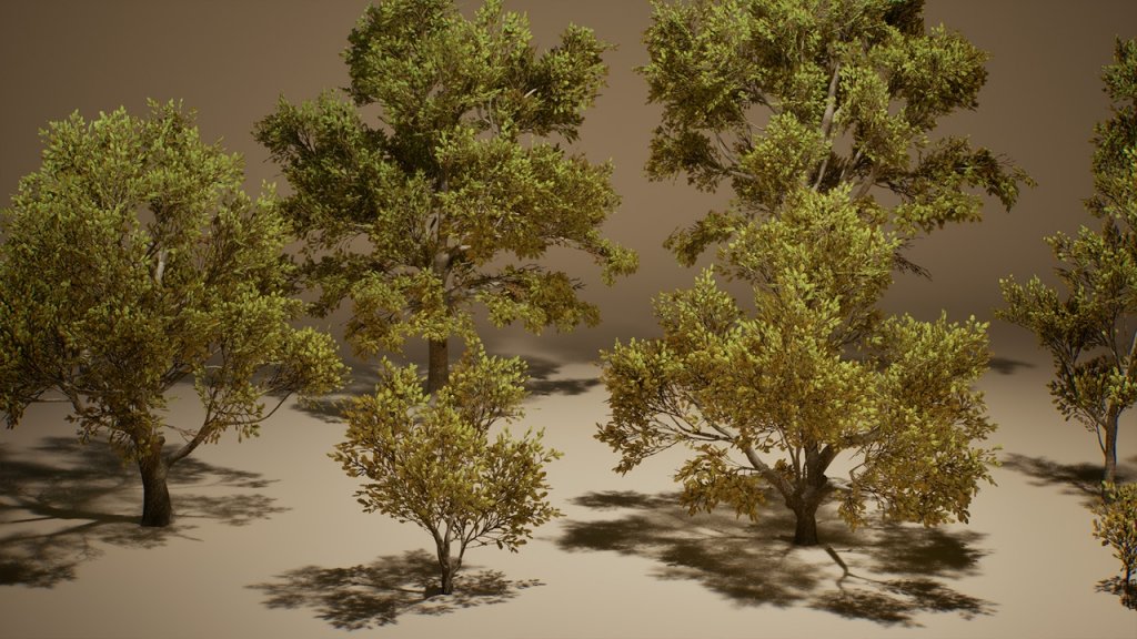 图片[5]-【UE虚幻资源】橡树 (Nanite低模版)-Foliage VOL.3 – Oak Trees (Nanite and Low Poly)-IMAXCG