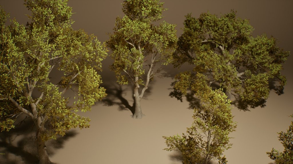 图片[8]-【UE虚幻资源】橡树 (Nanite低模版)-Foliage VOL.3 – Oak Trees (Nanite and Low Poly)-IMAXCG