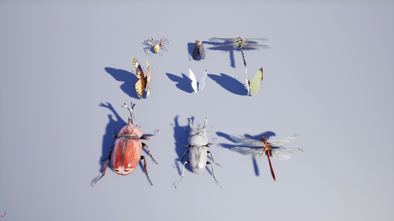 【UE虚幻资源】日本昆虫模型包-Japanese Insect Pack-IMAXCG