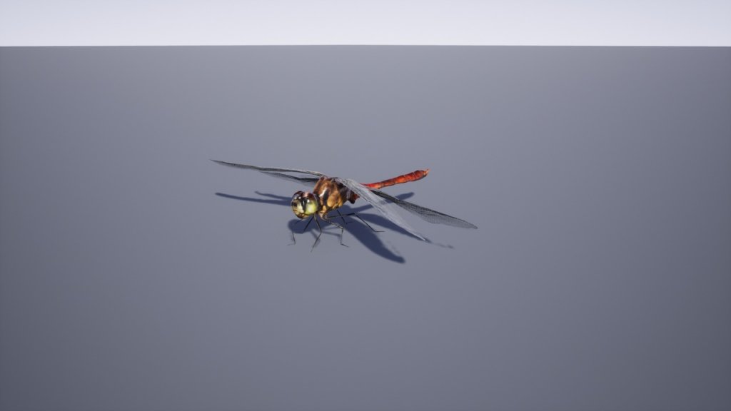 图片[9]-【UE虚幻资源】日本昆虫模型包-Japanese Insect Pack-IMAXCG