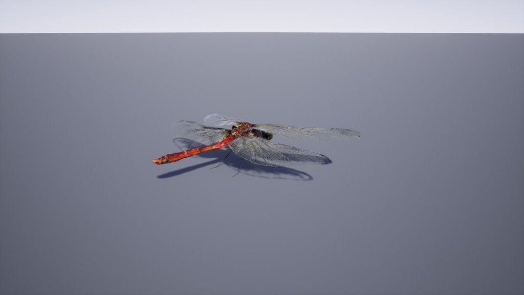 图片[10]-【UE虚幻资源】日本昆虫模型包-Japanese Insect Pack-IMAXCG