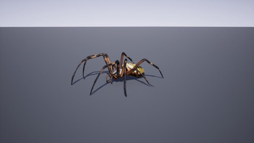 图片[17]-【UE虚幻资源】日本昆虫模型包-Japanese Insect Pack-IMAXCG