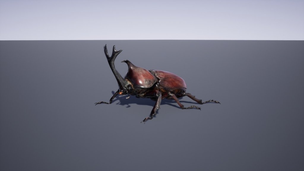 图片[1]-【UE虚幻资源】日本昆虫模型包-Japanese Insect Pack-IMAXCG