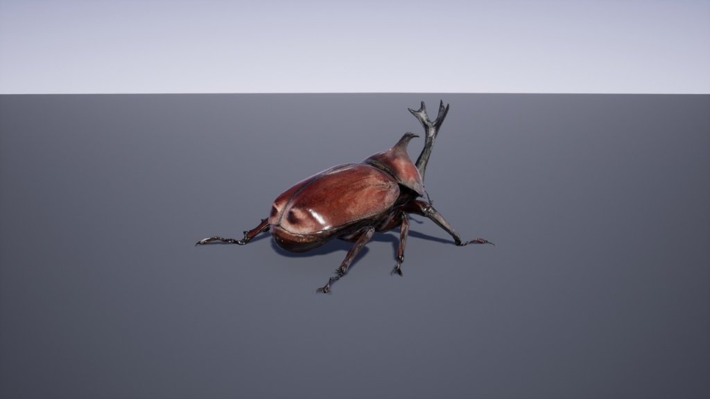 图片[2]-【UE虚幻资源】日本昆虫模型包-Japanese Insect Pack-IMAXCG