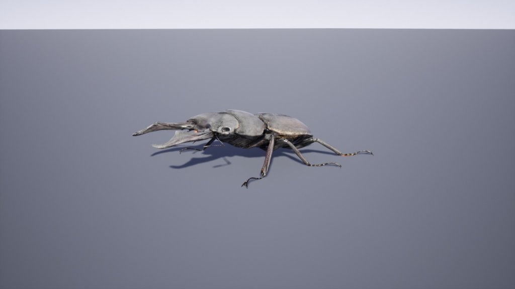 图片[3]-【UE虚幻资源】日本昆虫模型包-Japanese Insect Pack-IMAXCG