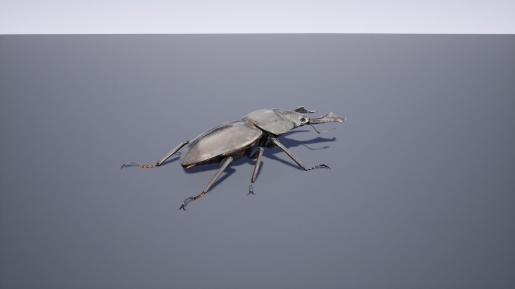图片[4]-【UE虚幻资源】日本昆虫模型包-Japanese Insect Pack-IMAXCG