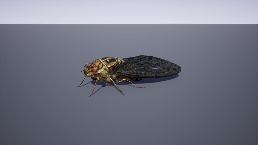 图片[5]-【UE虚幻资源】日本昆虫模型包-Japanese Insect Pack-IMAXCG