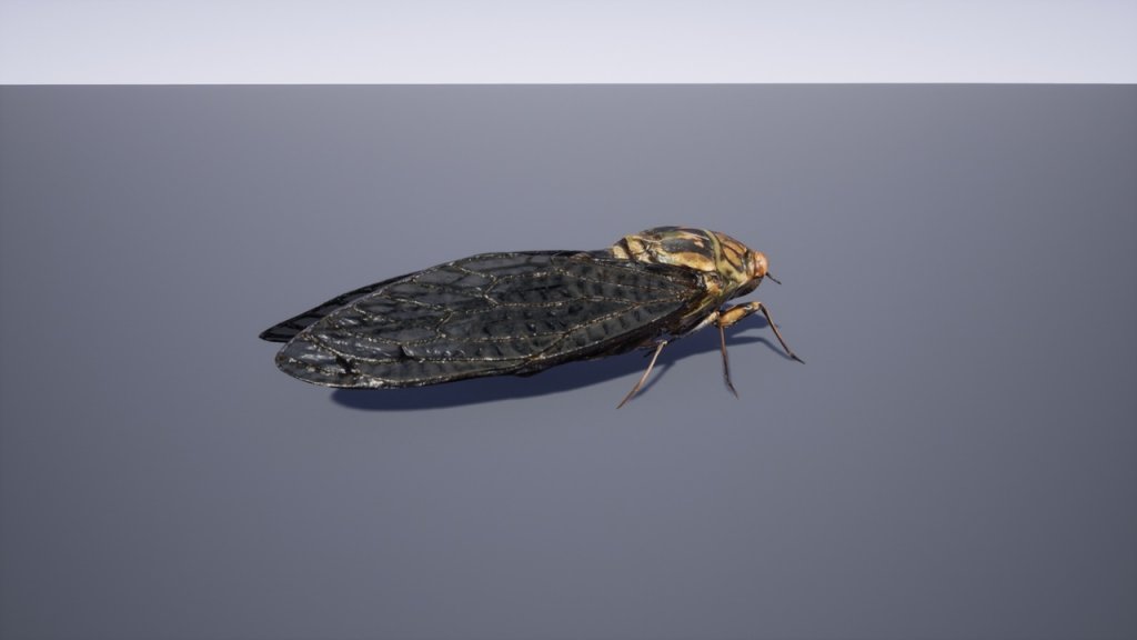 图片[6]-【UE虚幻资源】日本昆虫模型包-Japanese Insect Pack-IMAXCG