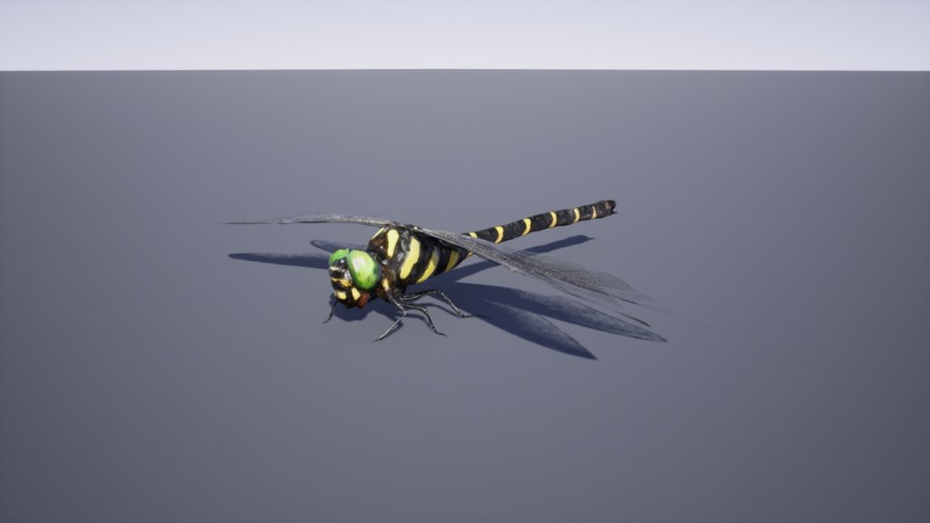 图片[7]-【UE虚幻资源】日本昆虫模型包-Japanese Insect Pack-IMAXCG