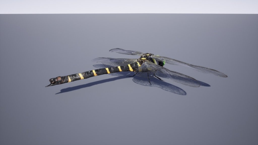 图片[8]-【UE虚幻资源】日本昆虫模型包-Japanese Insect Pack-IMAXCG